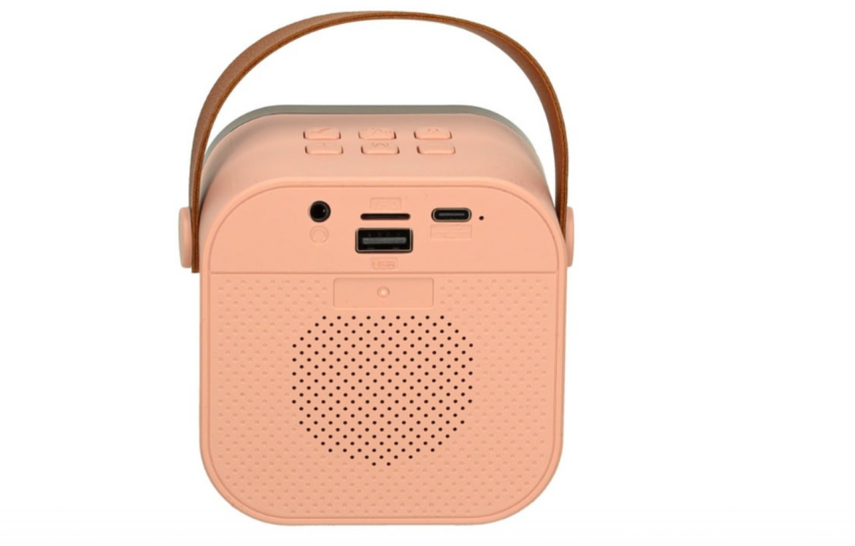 Set karaoke pentru copii, Cu 2 Microfoane Wireless, Multi-Functionala