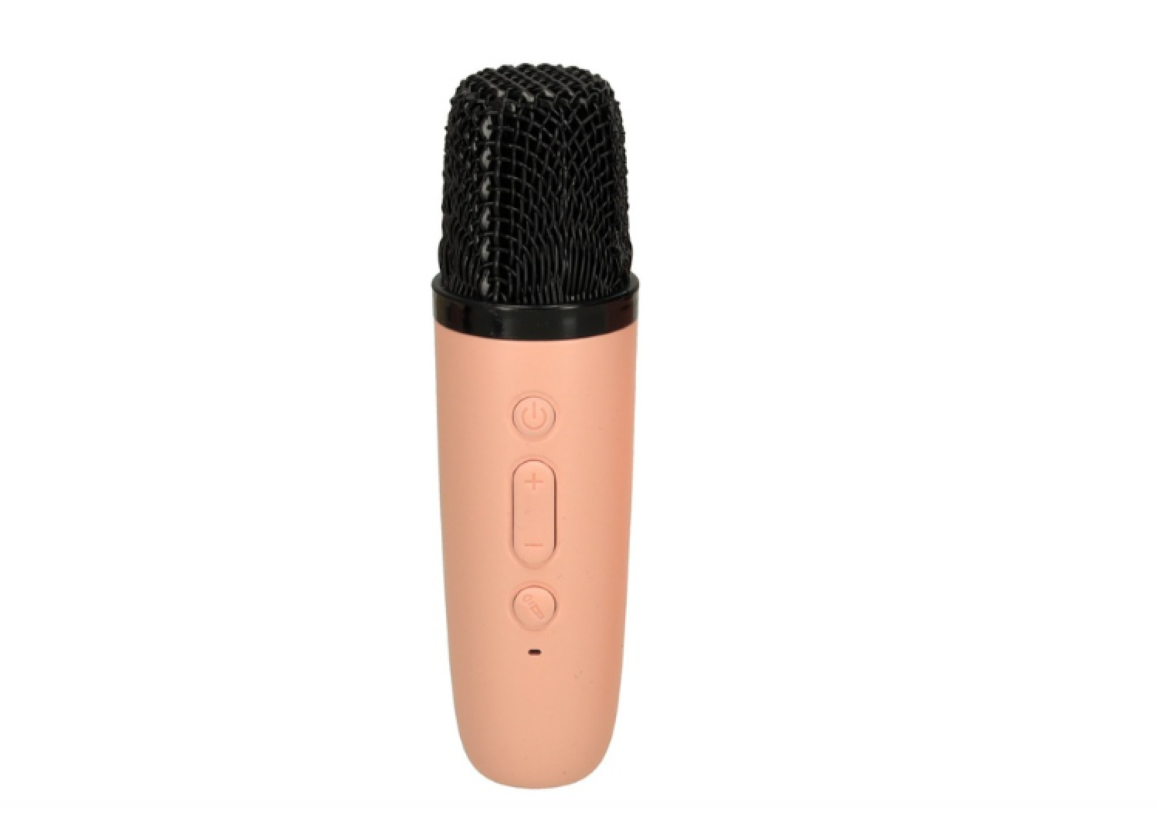 Set karaoke pentru copii, Cu 2 Microfoane Wireless, Multi-Functionala